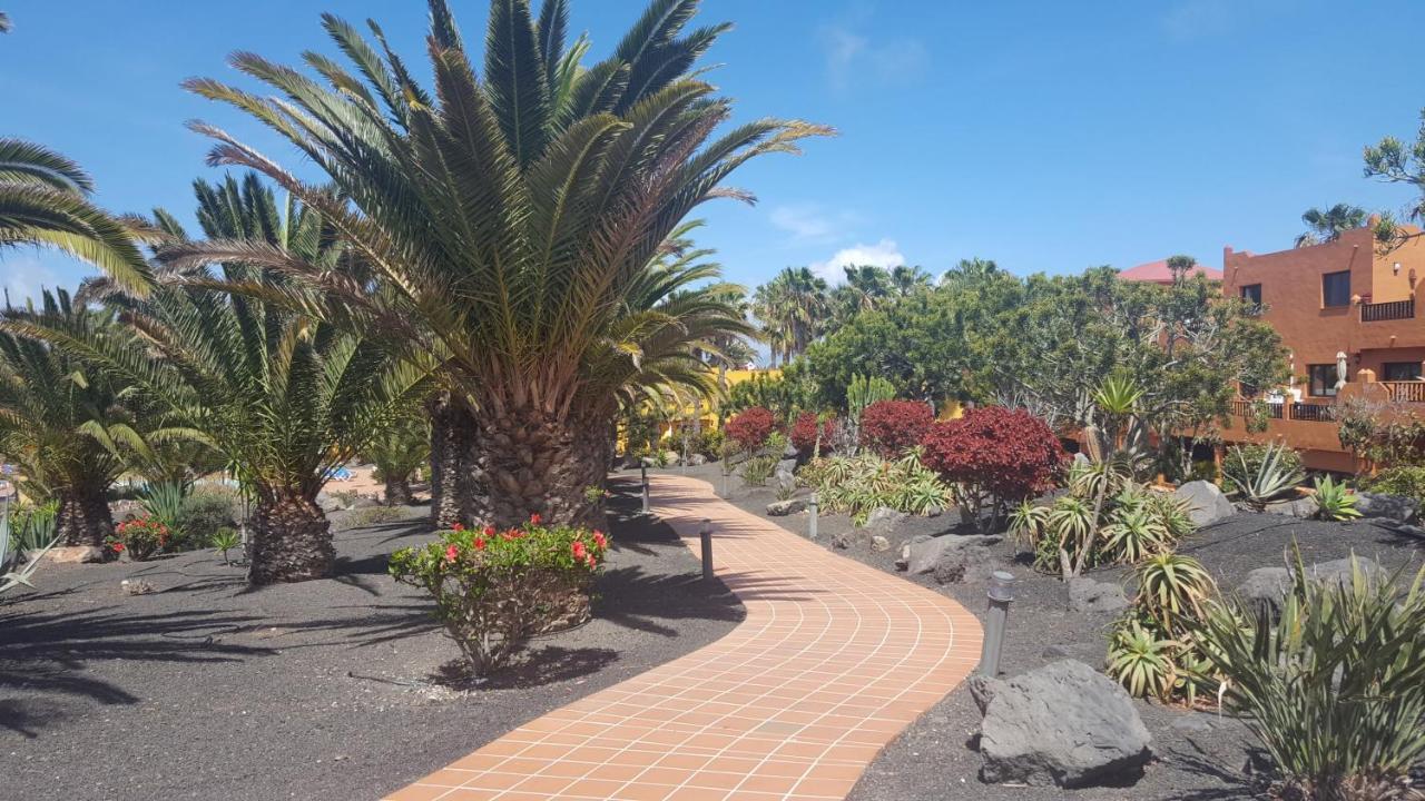 Oasis Royal 3 Piscinas Leilighet Corralejo Eksteriør bilde