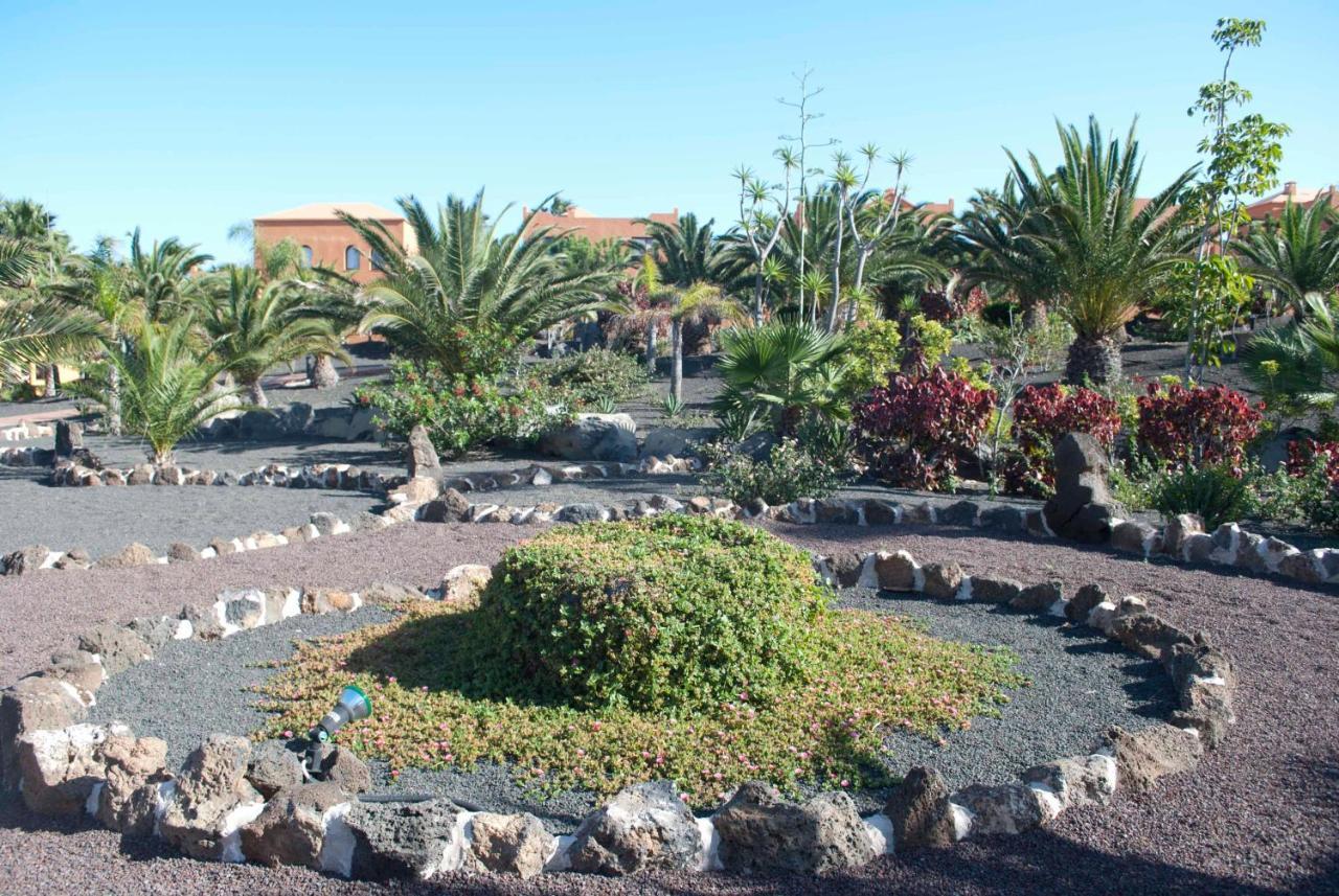 Oasis Royal 3 Piscinas Leilighet Corralejo Eksteriør bilde