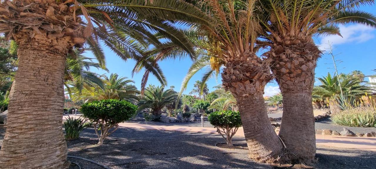 Oasis Royal 3 Piscinas Leilighet Corralejo Eksteriør bilde